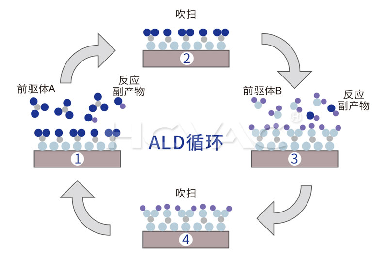 ALD 过程